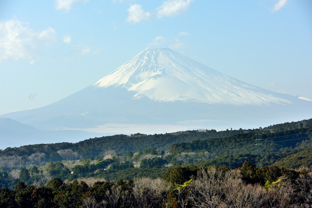 富士山