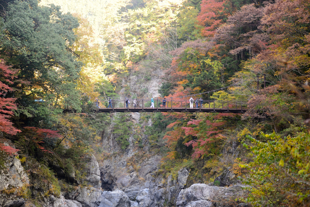 紅葉を楽しむ人たち