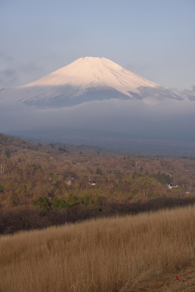 朝の富士山