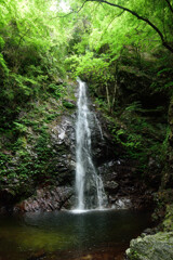 払沢の滝