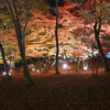 紅葉ライトアップ in 山中湖