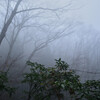fog