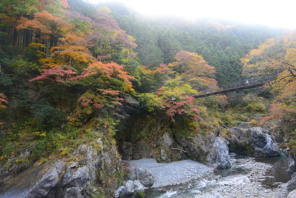 紅葉と橋