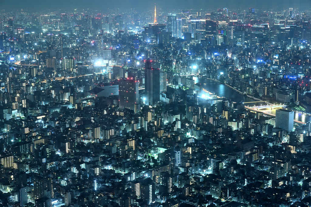 スカイツリーから東京タワー