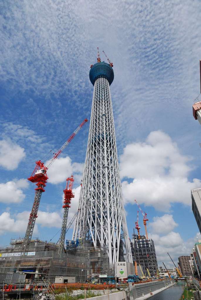 秋空に向かって