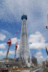 秋空に向かって