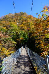 橋の向こうは紅葉