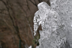 氷の芸術