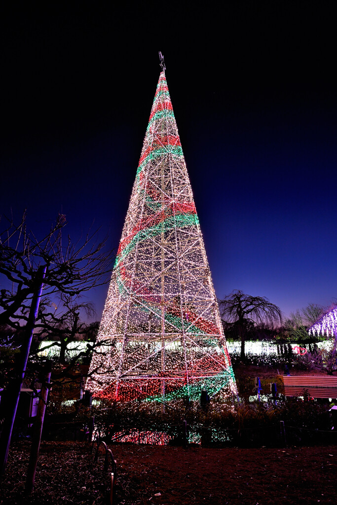トワイライトに輝く