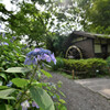 紫陽花と水車小屋