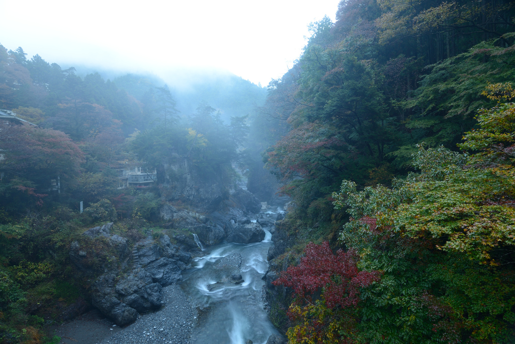 霧の鳩ノ巣渓谷