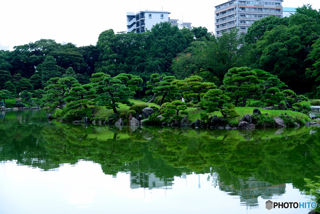 清澄庭園