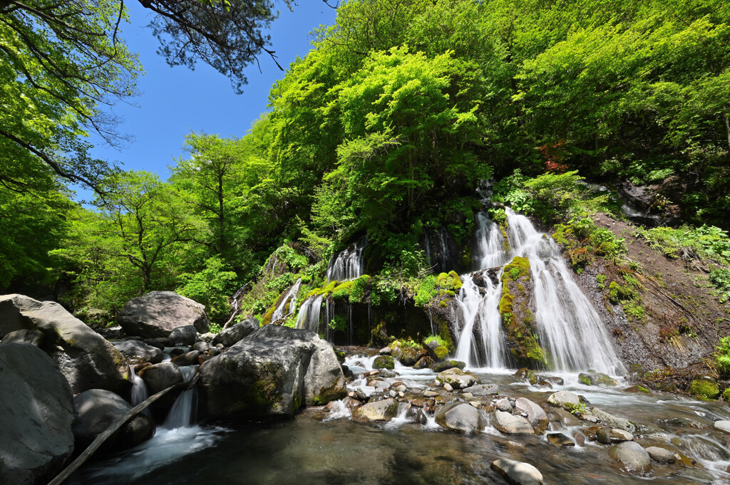 緑の中の滝