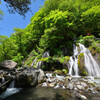 緑の中の滝