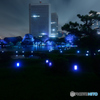 東京夜会