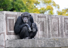 寒くなってきました