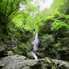 東京唯一の滝百選