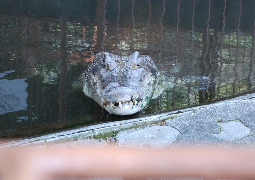 見つめ合う二人・・・