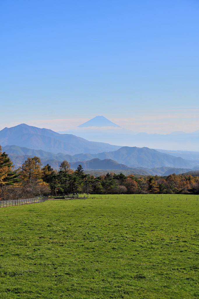 高原と富士山