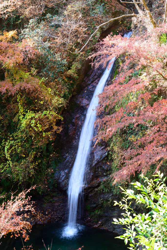 滝と紅葉