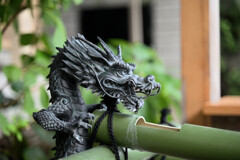 日枝神社の龍