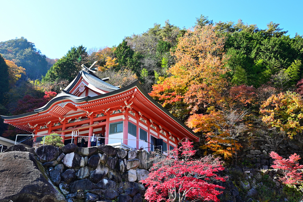 お寺の紅葉