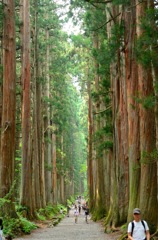 巨人の住む森