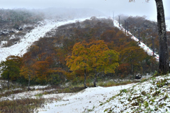 谷川岳の紅葉と雪②