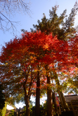 御岳渓谷の紅葉狩り