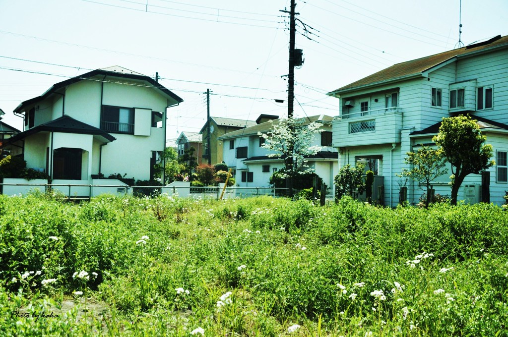 辻堂の空き地