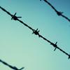 barbed wire