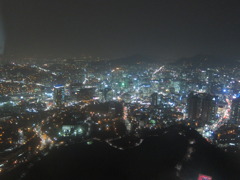 Seoul Tower