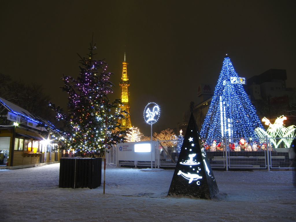 Sapporo White illumination 2010