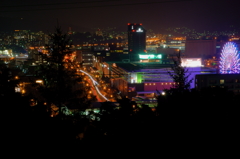 小樽平磯公園からの夜景