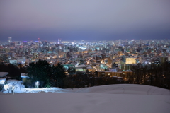 札幌冬夜景~旭山記念公園~2