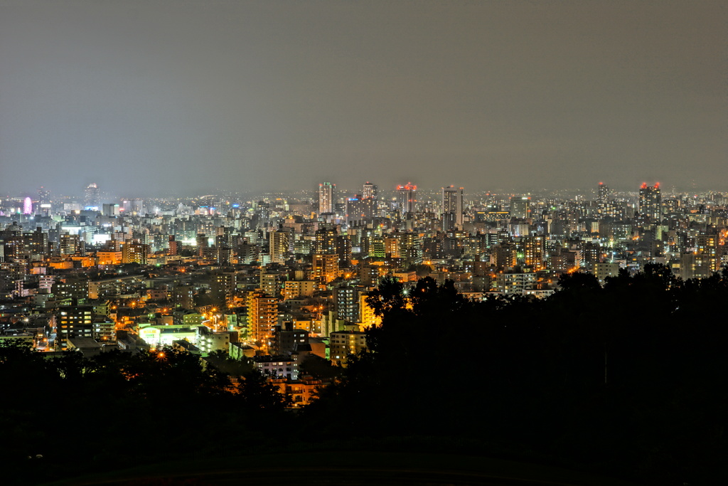 札幌都市夜景　旭山記念公園