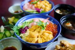 北海道 夏の名物積丹うに丼