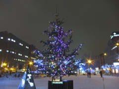 Sapporo White illumination 2010 tree