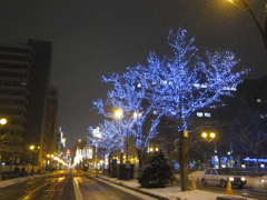 Sapporo White illumination 2010 street