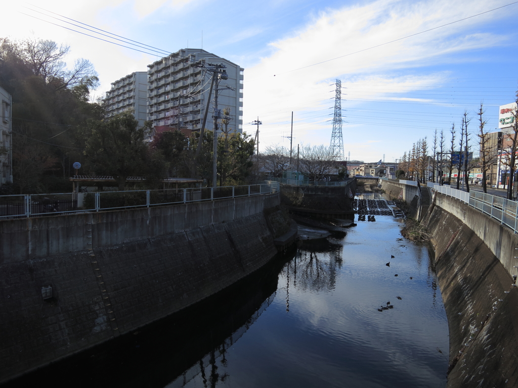 矢上川