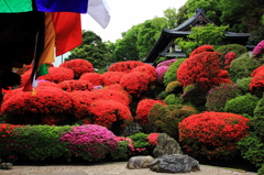 つつじ寺