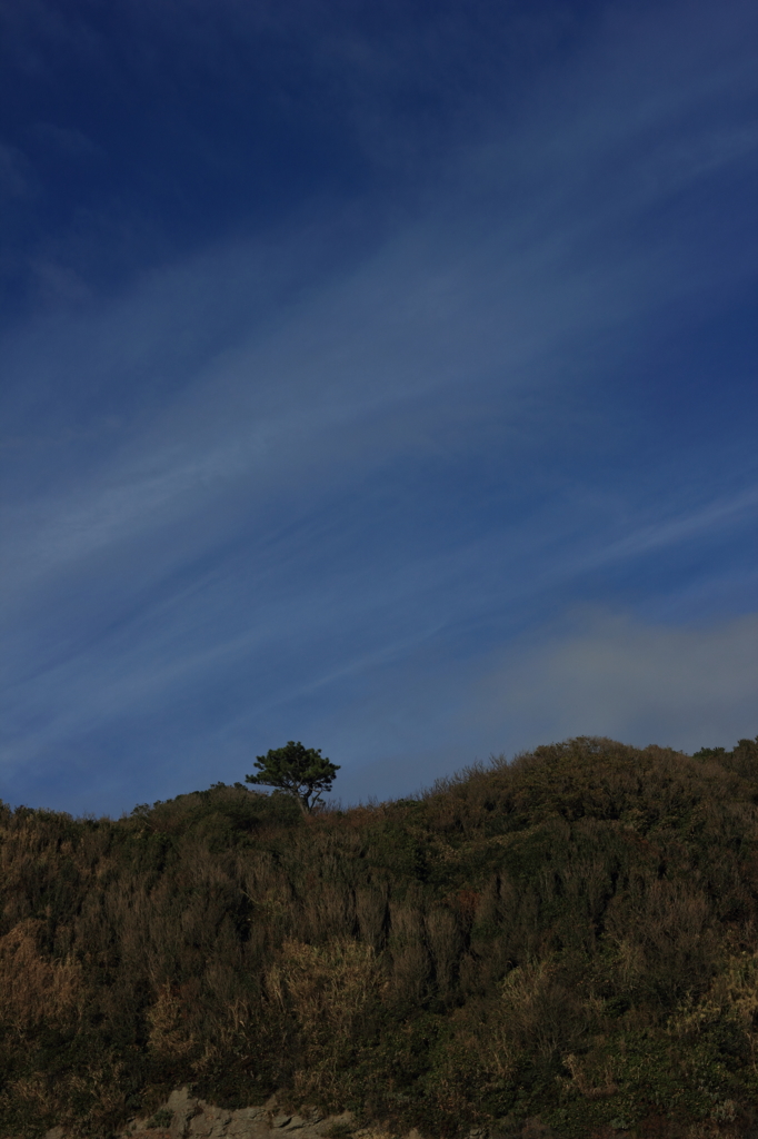 Enoshima Autumn Blue