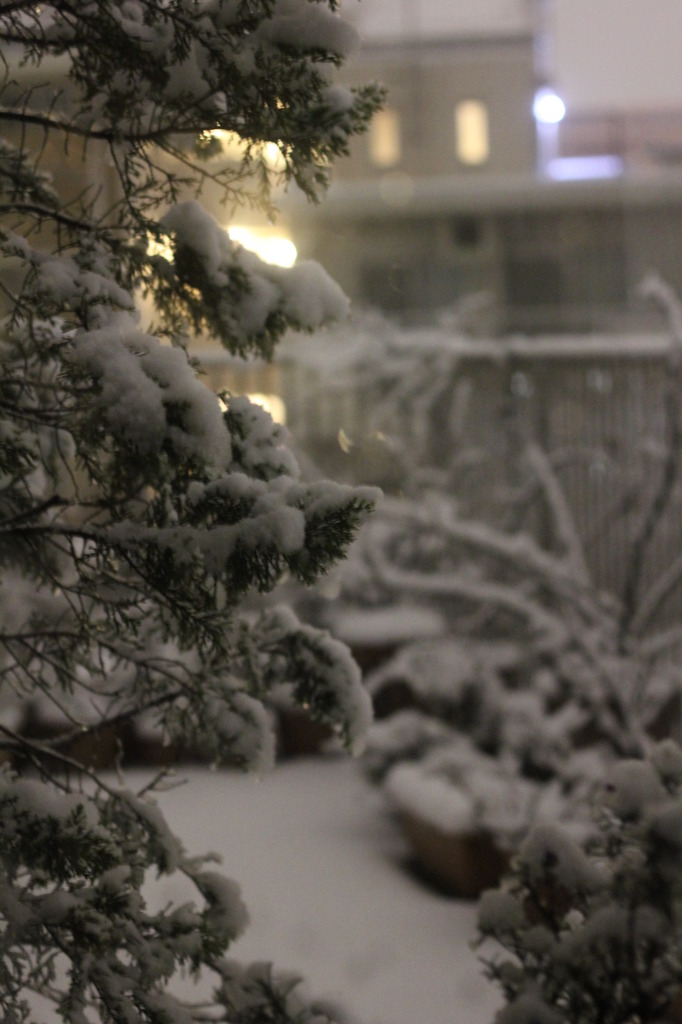 雪明り