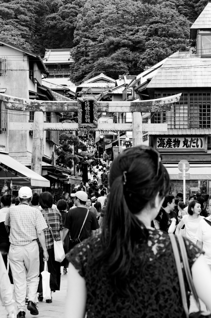 鳥居に手が届きそう