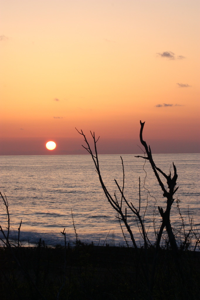 夕日