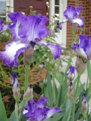 DSC01221
