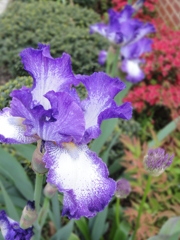 DSC01245