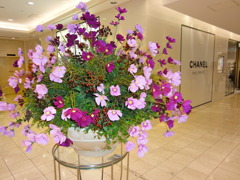 DSC00649