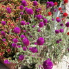 DSC00561