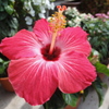 DSC00565